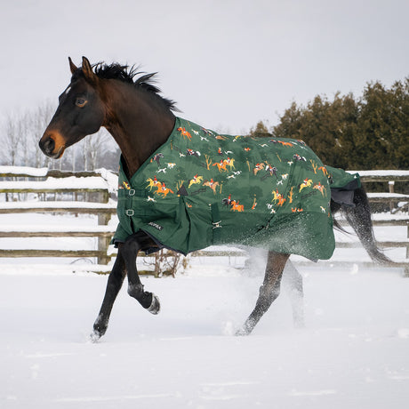 Mustang Canvas Turnout Blanket 72in Green