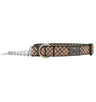Collier de dressage RC pour animaux de compagnie