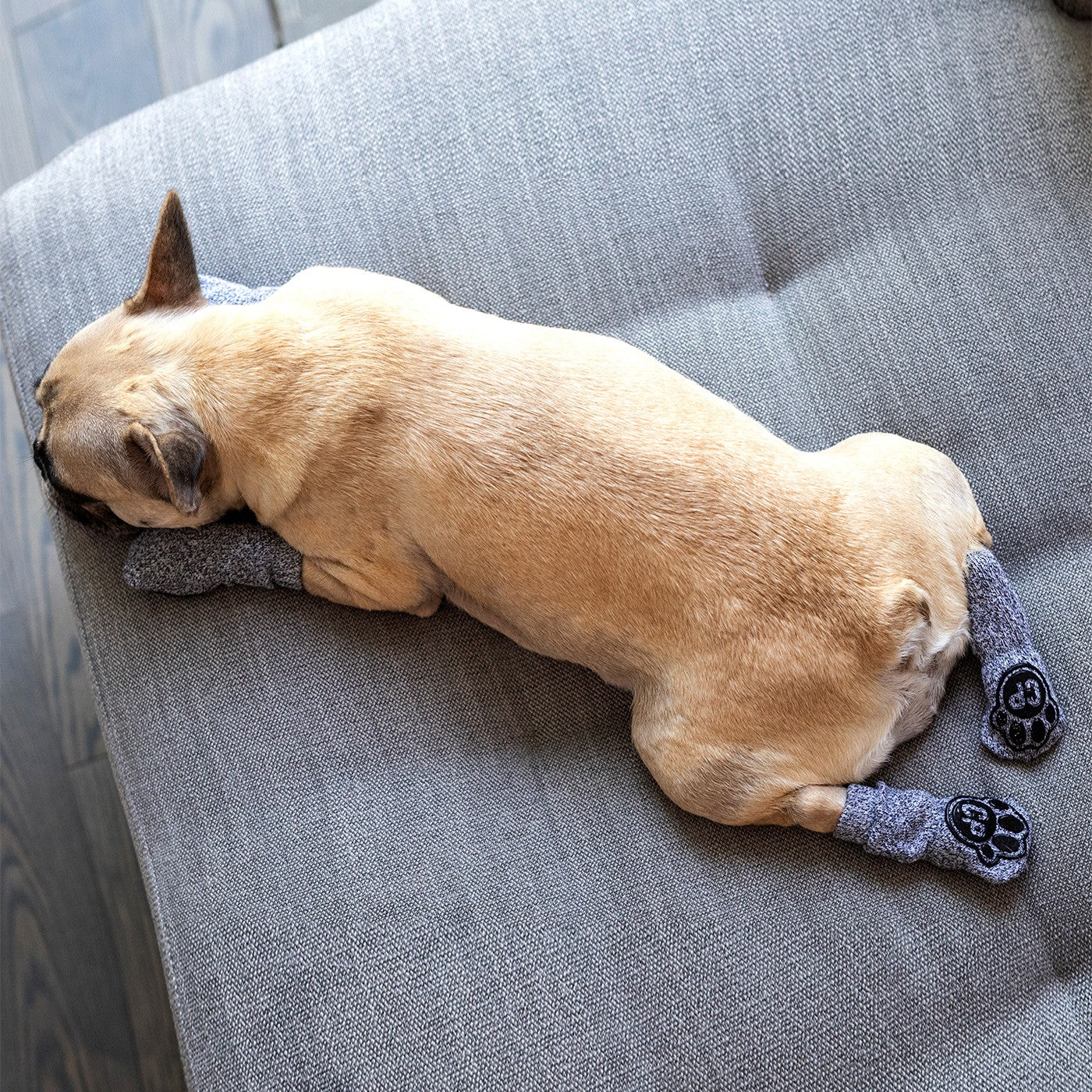 Canada pooch socks best sale