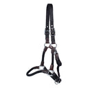 Shedrow Nylon & Leather Halter