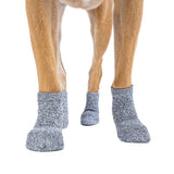 Canada Pooch The Basics Chaussettes pour chien