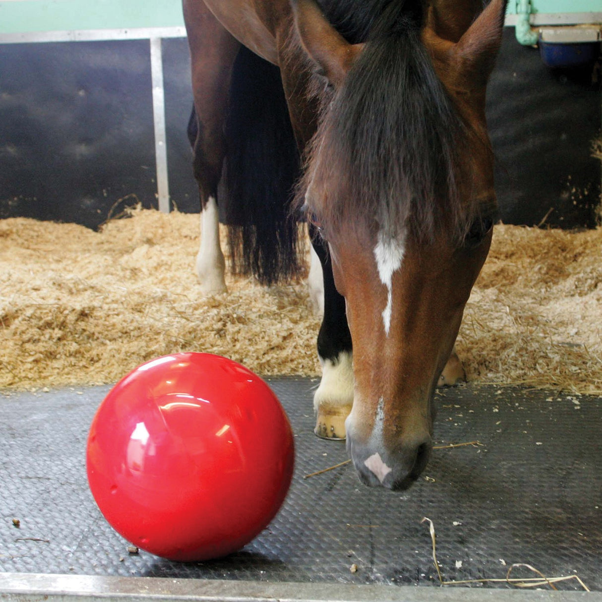 Likit Snak A Ball Complete Horse Toy