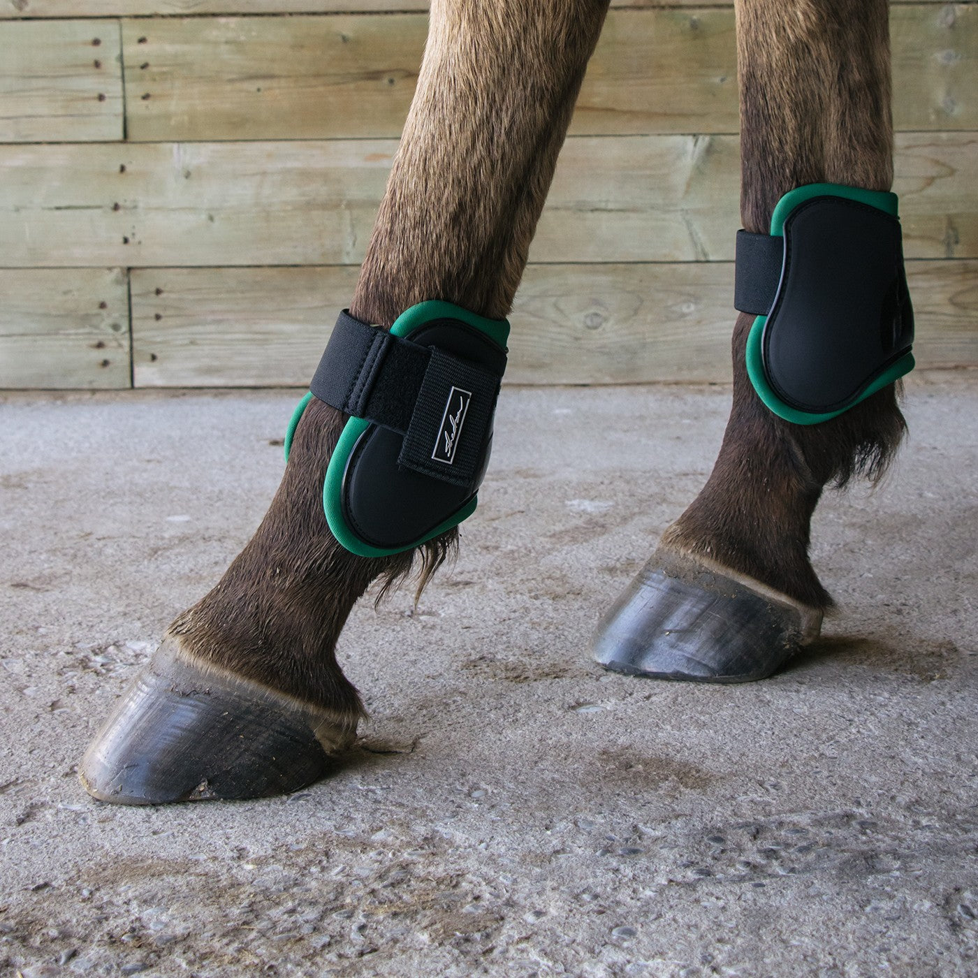 Norton pro tendon and fetlock clearance boots