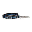 RC Pet Training Collar