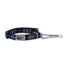 Collier de dressage RC pour animaux de compagnie