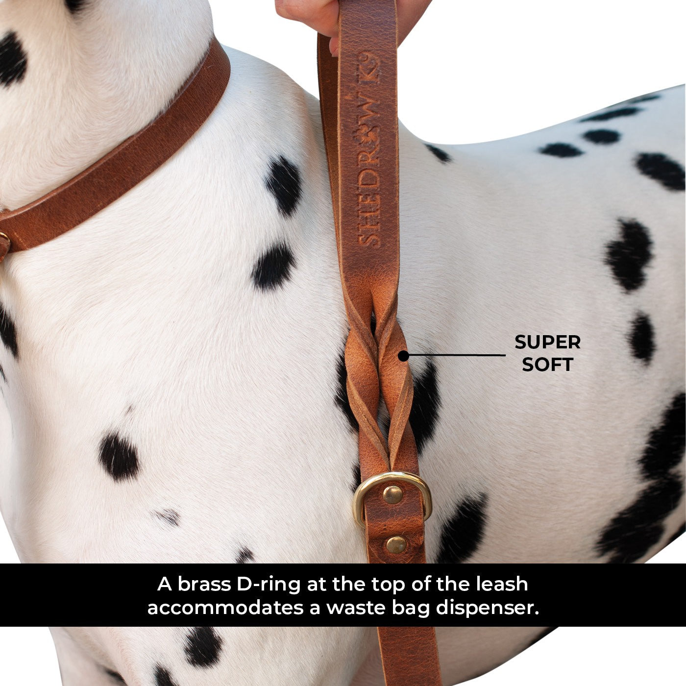 5 foot leather dog clearance leash