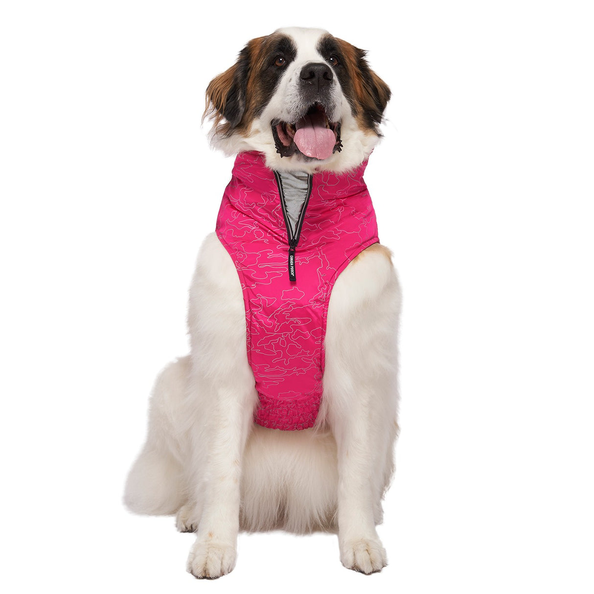 Manteau Canada Pooch The Expedition pour chien 2.0