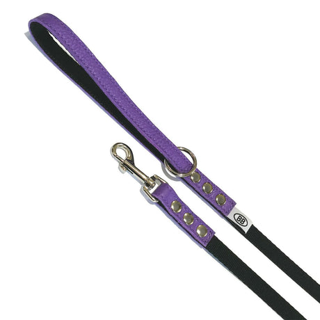 Buddy Belt Accent Leather & Nylon Leash 1-2 In. x 4 ft.