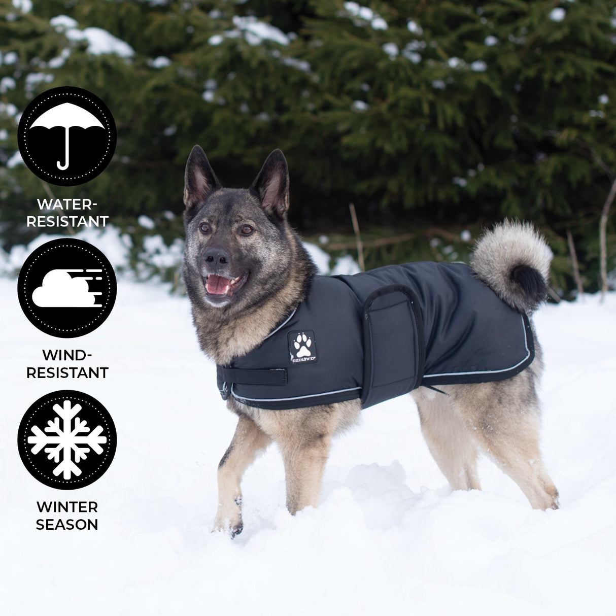 Manteau pour chien Shedrow K9 Vail