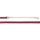 Shedrow Deluxe Lead W/ Chain
