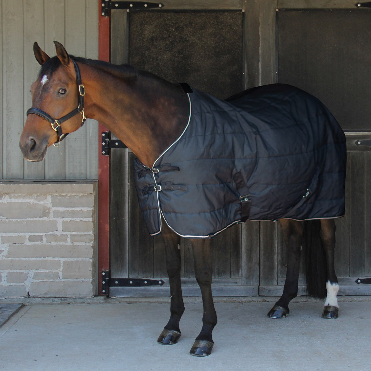 Shedrow Stable Blanket 200 g – Greenhawk Equestrian Sport
