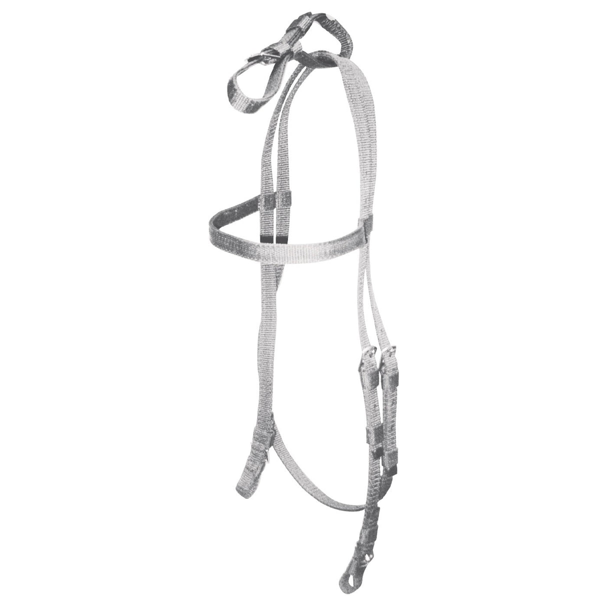 Shedrow Thoroughbred Race Headstall
