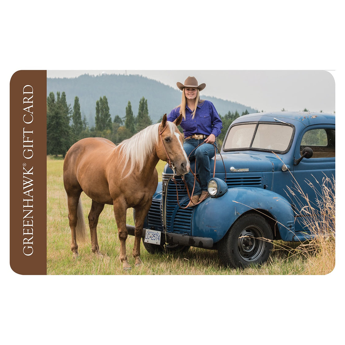 Greenhawk – Greenhawk Equestrian Sport