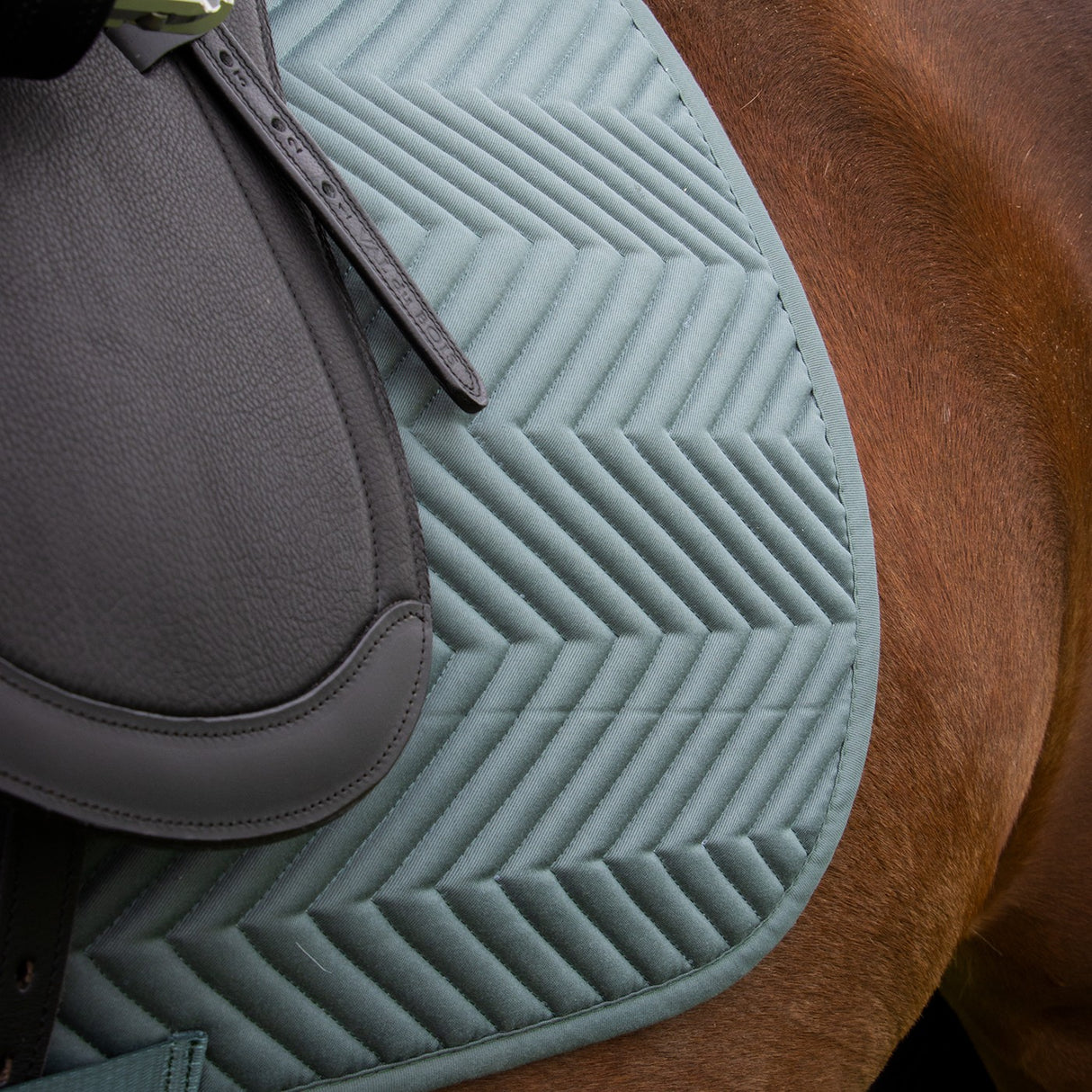 Tapis de selle Supra Every Day Essential - Dressage