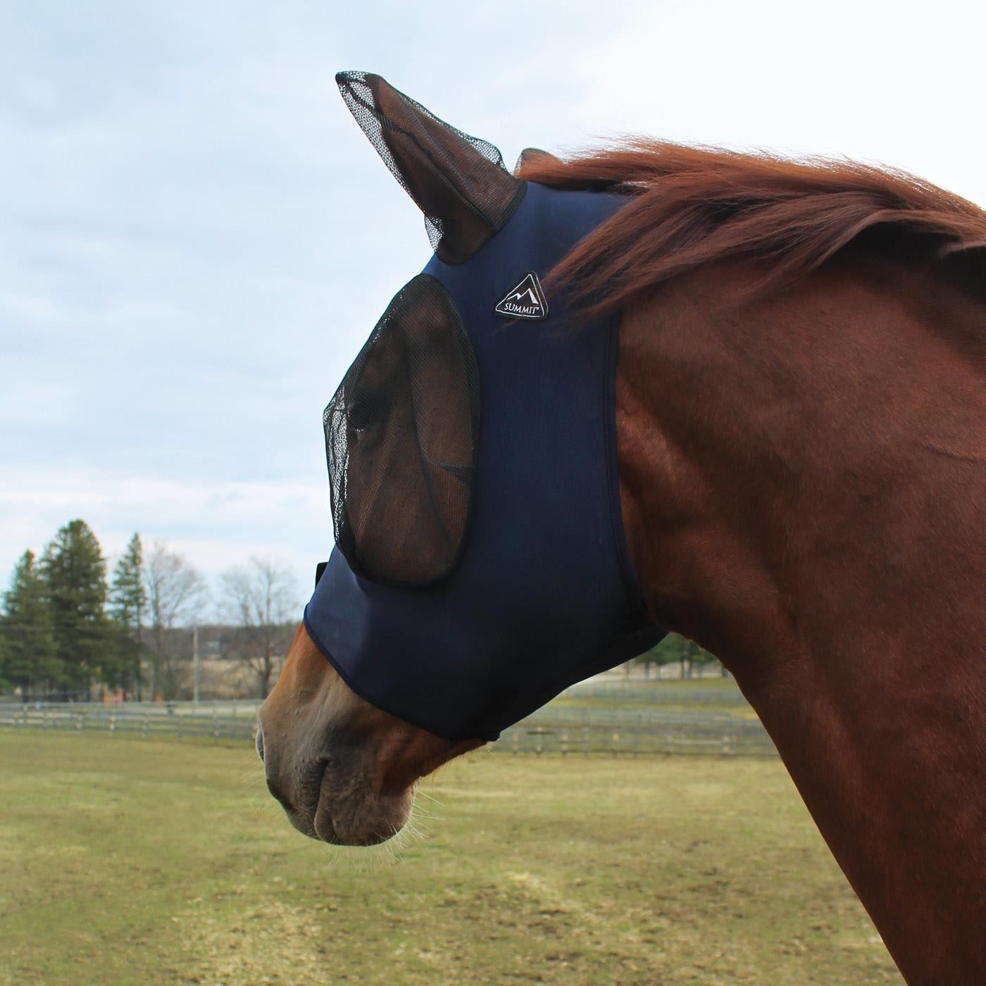 Lame Andis Ultra Edge 10 – Greenhawk Equestrian Sport