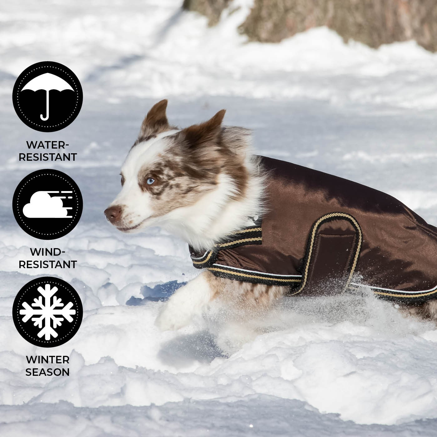 Shedrow K9 Tundra Dog Coat – Greenhawk Equestrian Sport