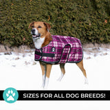 Shedrow K9 Glacier Dog Coat