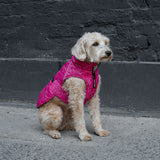 Canada Pooch The Expedition Dog Coat 2.0