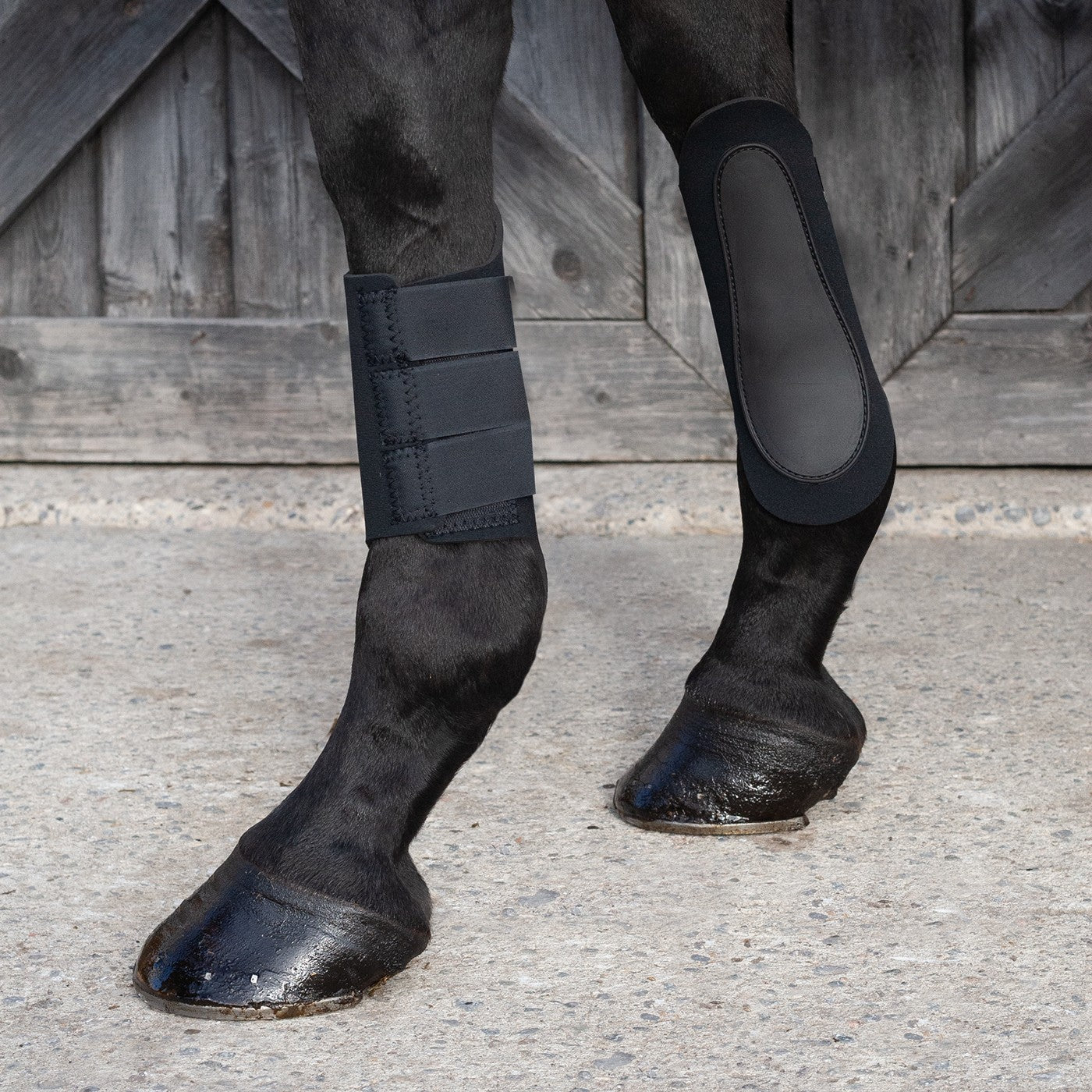 Neoprene horse outlet riding boots