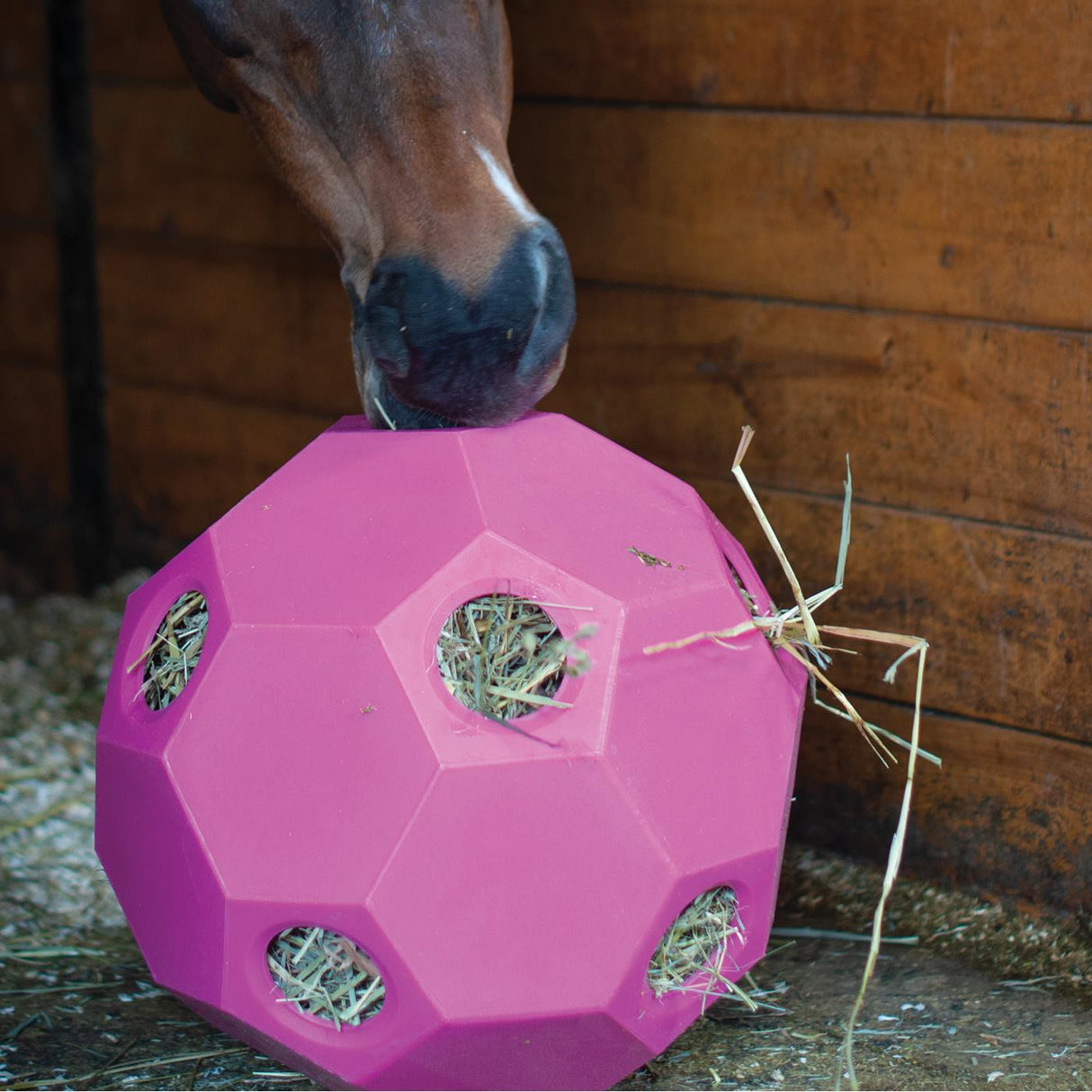 PARALLAX PLASTICS - Balle à foin Hay Play - Paddock Animal