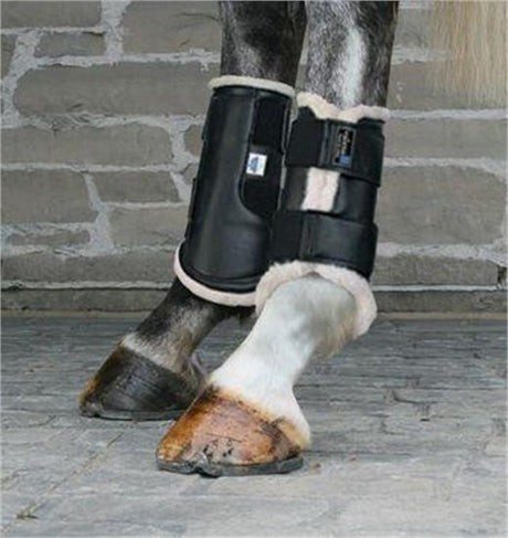 Valena Dressage Boots - Hind