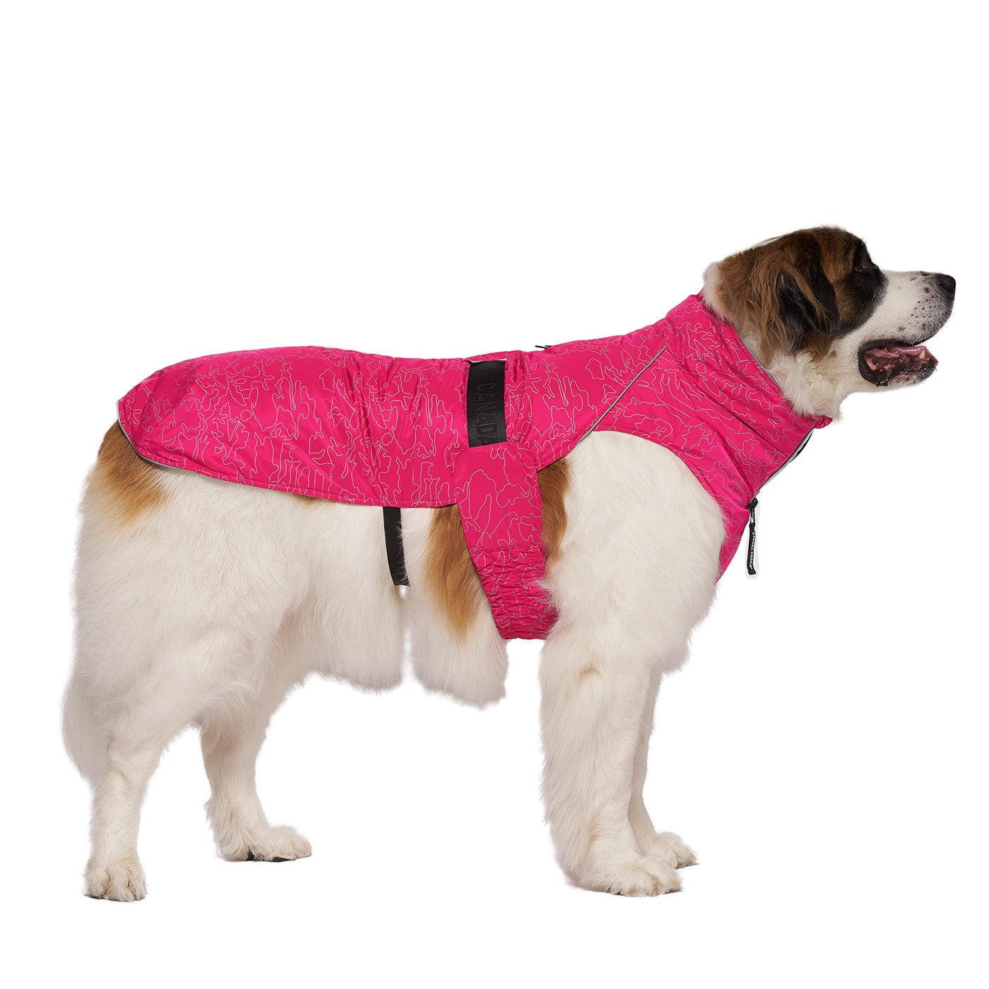 Canada pooch expedition store raincoat