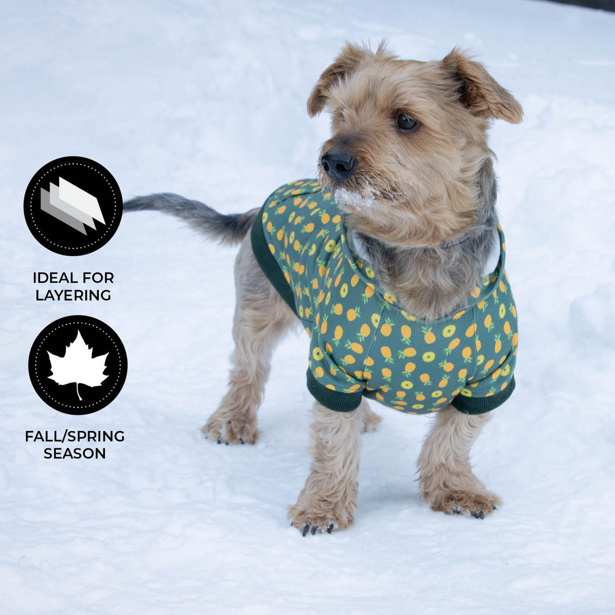 Shedrow K9 Canmore Dog Hoodie