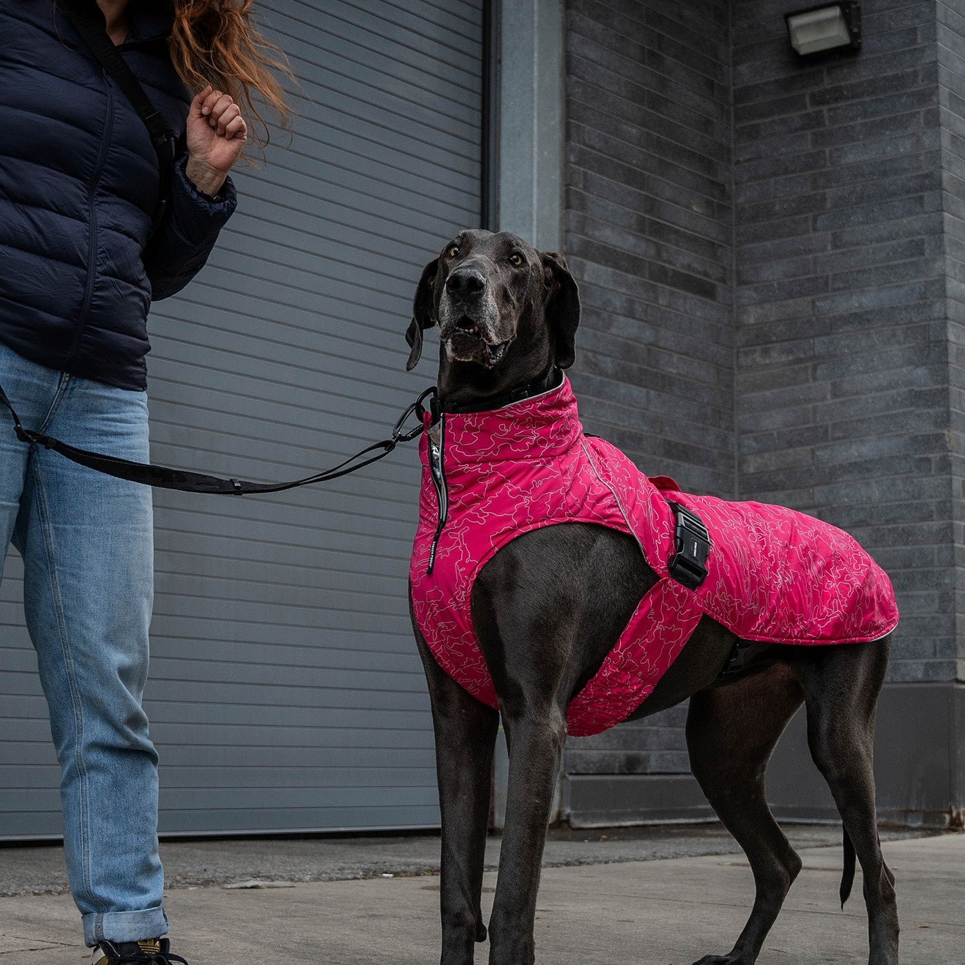 Canada pooch expedition top coat