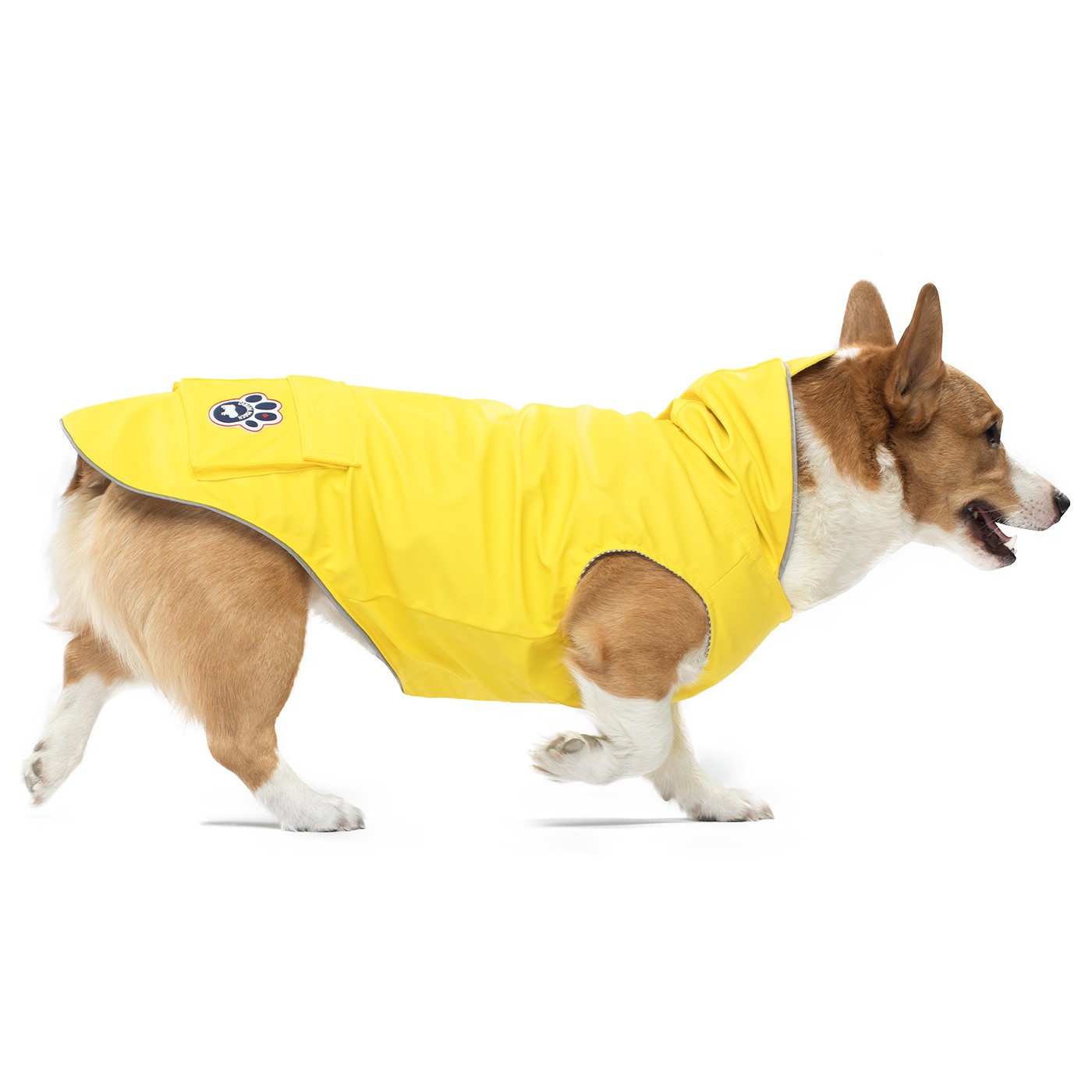 Dog rain 2025 jacket canada