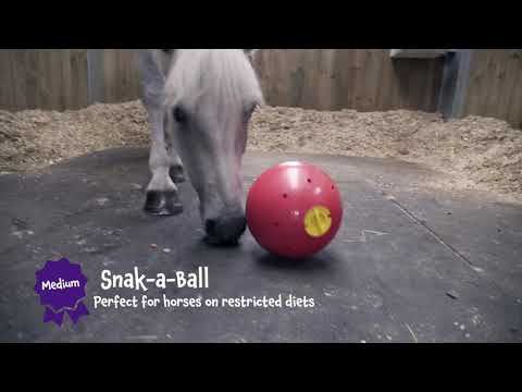 Likit Snak A Ball Complete Horse Toy