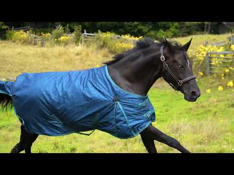 Supra Windward Swirl Rainsheet 0 g