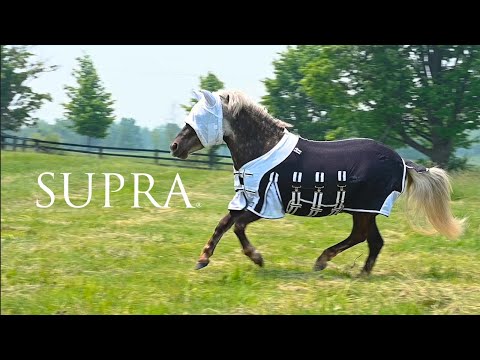 Supra Miniature Fly Sheet W/ Belly Band & Fly Mask