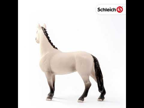 Schleich hanoverian best sale