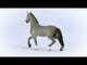 Schleich Horse Club Cheval Selle de Francais Stallion