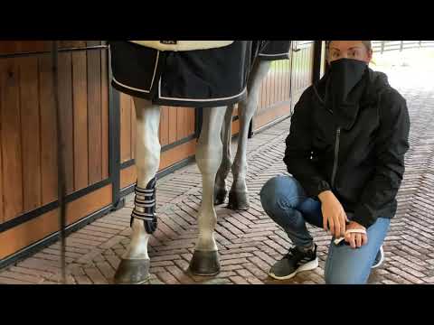 EQUITHEME Bottes de pluie Je t'aime EQUITHEME Bottes de pluie Je t'aime