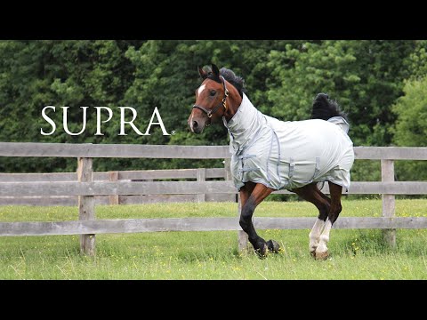 Supra High Neck Mesh Fly Sheet – Greenhawk Equestrian Sport
