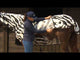 Couverture anti-mouches Bucas Buzz Off Zebra