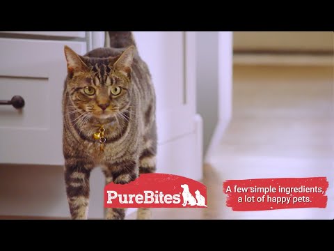 PureBites Friandises pour chat ménés lyophilisés 31 g