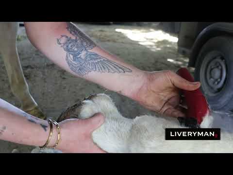 Liveryman Nova Cordless Trimmer
