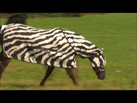 Bucas Buzz Off Zebra Full Neck Fly Sheet