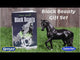 Breyer Freedom Black Beauty Horse & Book Set