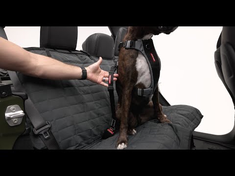 EZydog Click N Go Adjustable Car Restraint