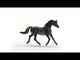 Schleich Horse Club Arabian Stallion