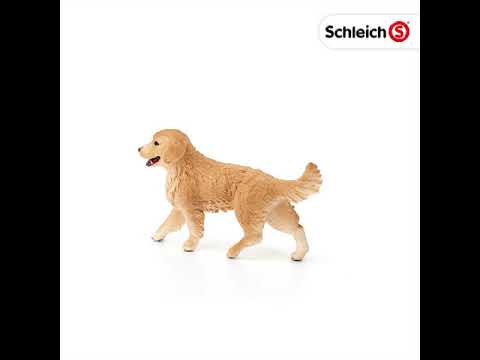 Schleich - Golden Retriever valp 16396 | Köp på Tradera (611571735 Schleich - Golden Retriever valp 16396 | Köp på Tradera (611571735