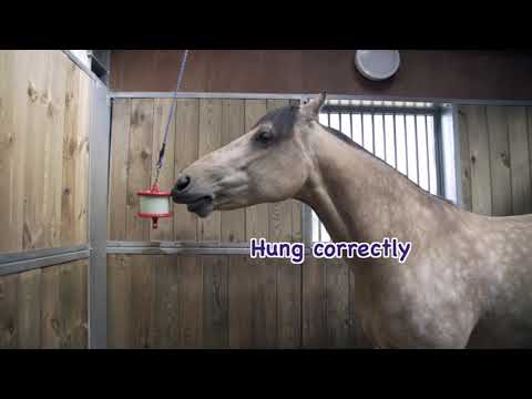 Likit Friandise pour cheval au sel gemme 1 kg – Greenhawk