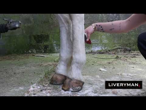 Liveryman Classic Brushless Ceramic Clipper