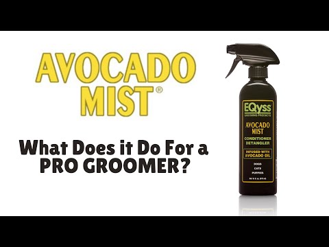 Avocado Mist Equine Coat Conditioning Spray ⋆ EQyss Grooming