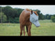 Cashel Crusader Mule Fly Mask Long Nose W/ Ears
