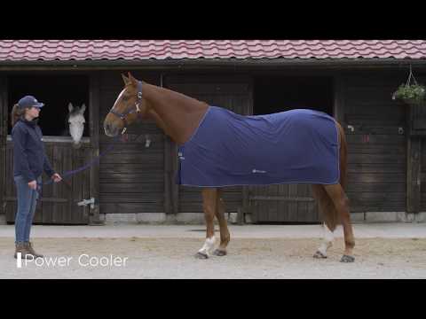 Bucas Power Cooler - Pony