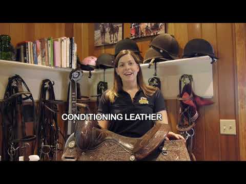 Rénovateur et revitalisant Leather Therapy 473 mL
